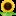 f7c672459104ab0178b9b77c43821a06.jpg