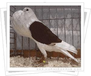 f1f1872bb53e8c13911f59cf16f8ef13.jpg