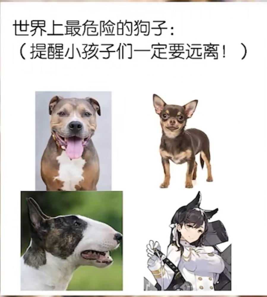 66dff9bd6ea402ef7c60fa6ba143e871.jpg