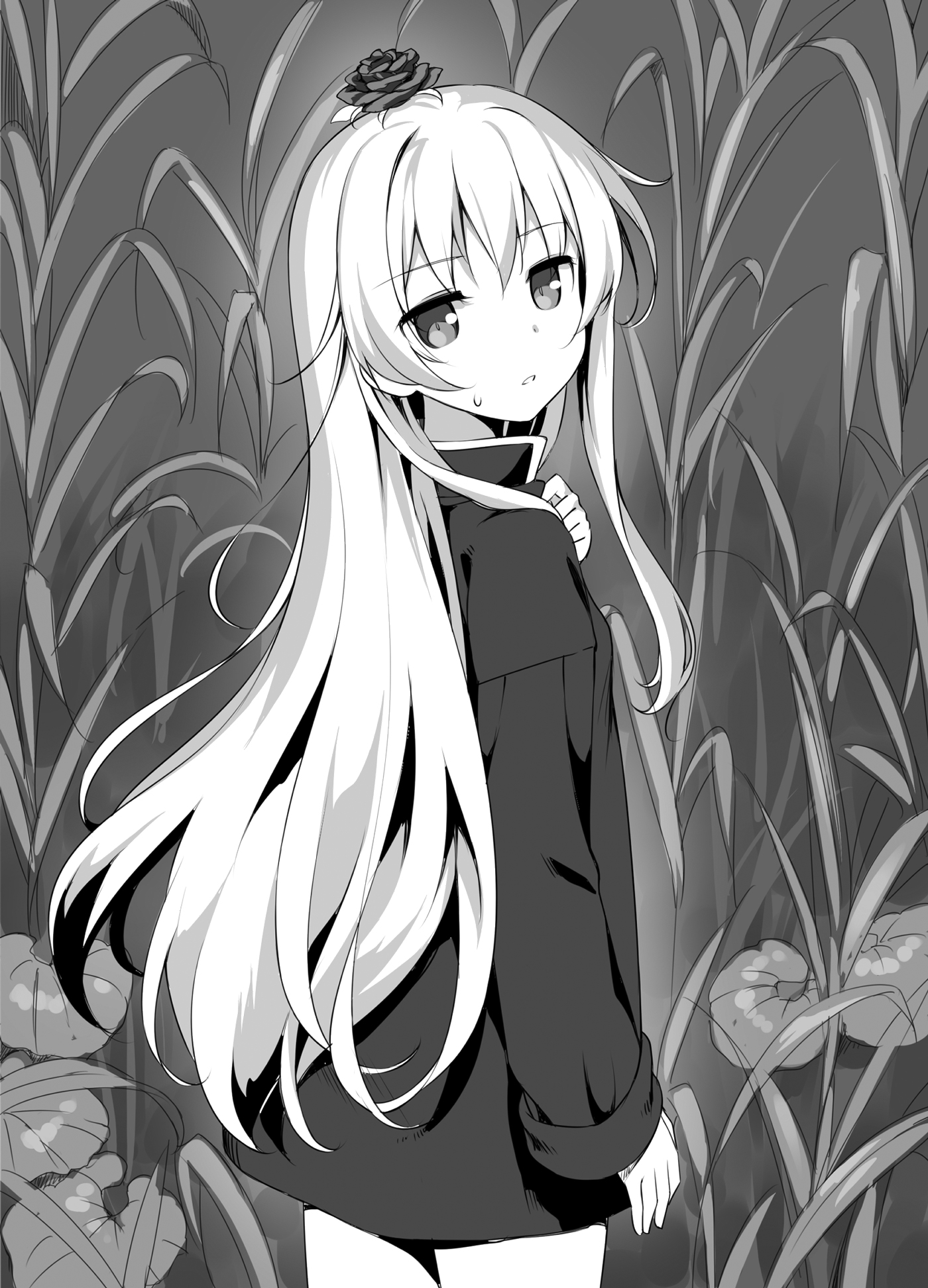 fabdcd12-d6fa-4516-9fd6-79eff5470c6c.jpg