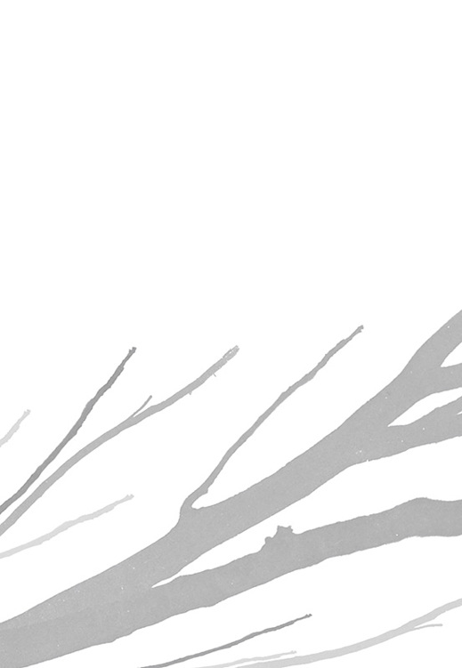 dbcf1416-d4b1-46b3-b31e-a668917907b3.jpg