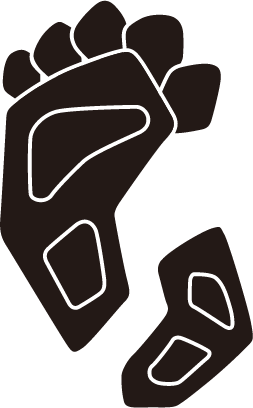 b119e61c-d154-4eca-bc1c-8b1f66826487.jpg