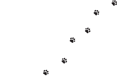 a73fba1d-5503-42a5-b5ad-952edb3bcb22.jpg