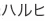 91a8dad6-99dc-4a33-aa4b-0167b06e9c00.jpg
