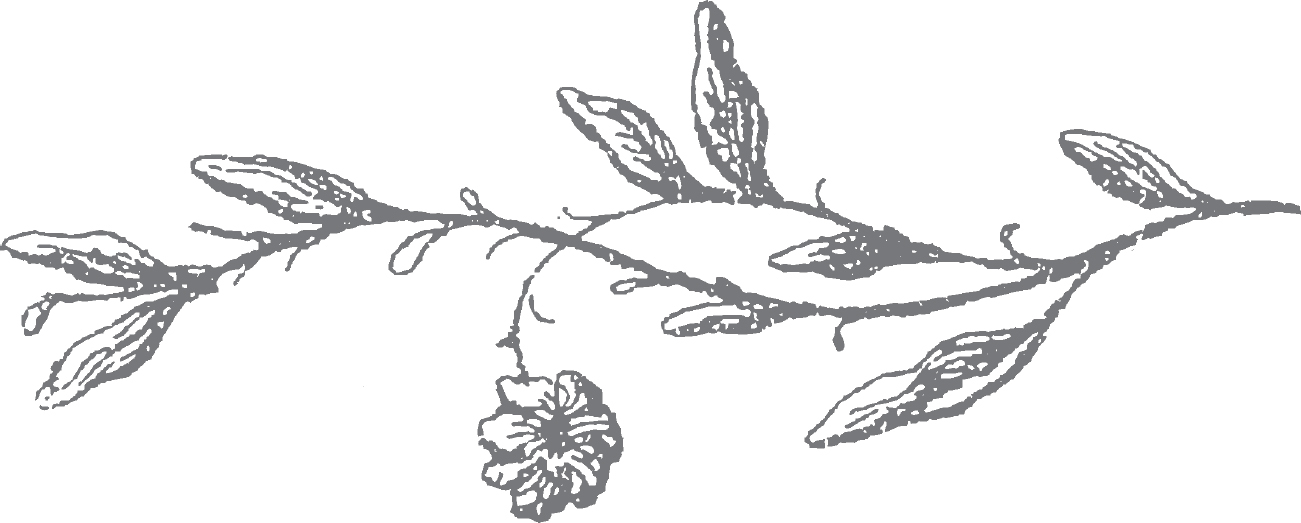 134cd87c-09a4-495a-bf2e-23728aa93948.jpg