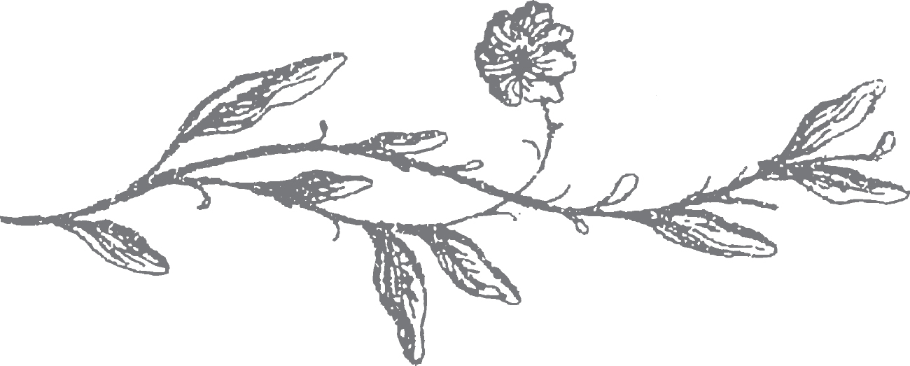 f897dba8-cb9e-4008-8272-c4f55aae0fd6.jpg