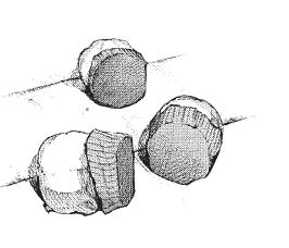 0cad55e1-96de-46d9-9e41-dff61e370045.jpg