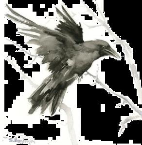 4be60e653f45be9e797afac1c579cc7f.jpg