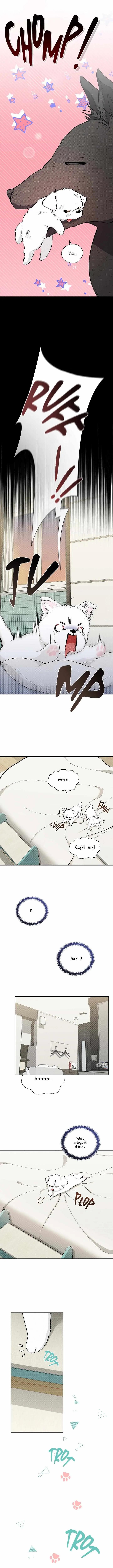 8e7c14801e03903cf4fadc84db47eaaa.jpg