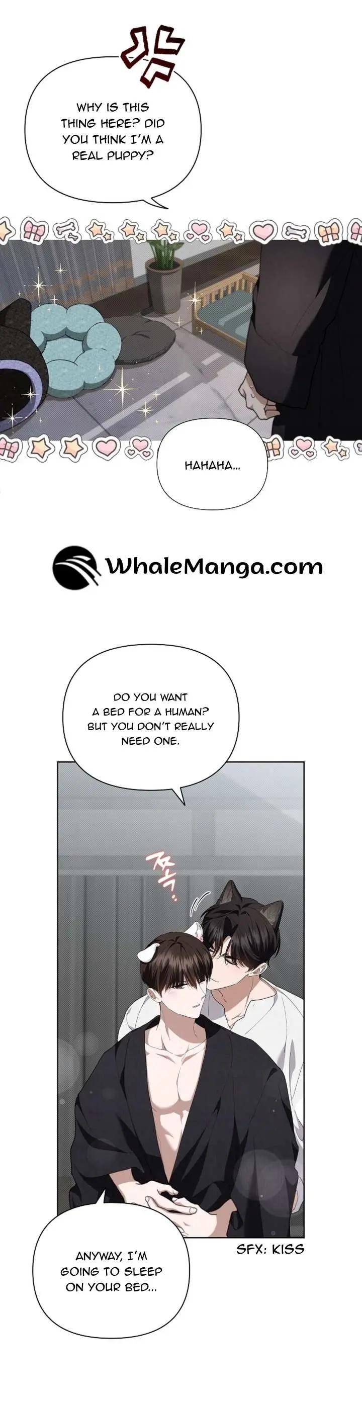 a8f943a8196cbcea4ebab4c6360f9f51.jpg