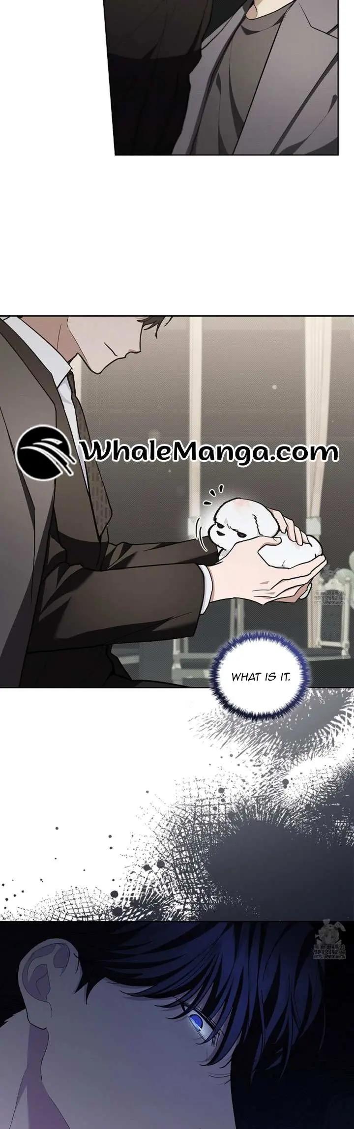 b6f1f6d75ad33d04b7ece2862f71925f.jpg