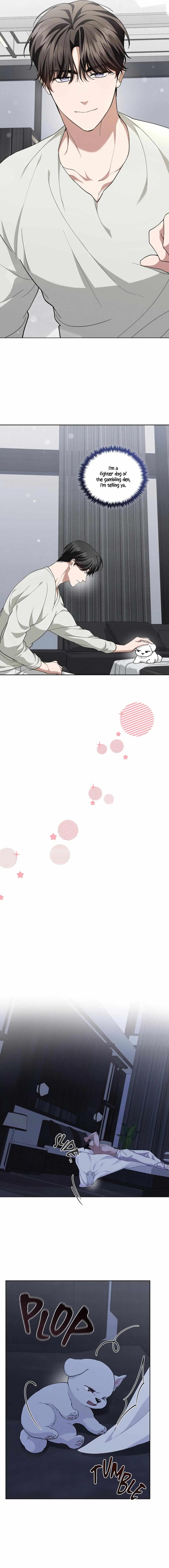 c8b456de6aa84276ab3d4e94ab2f7ce0.jpg