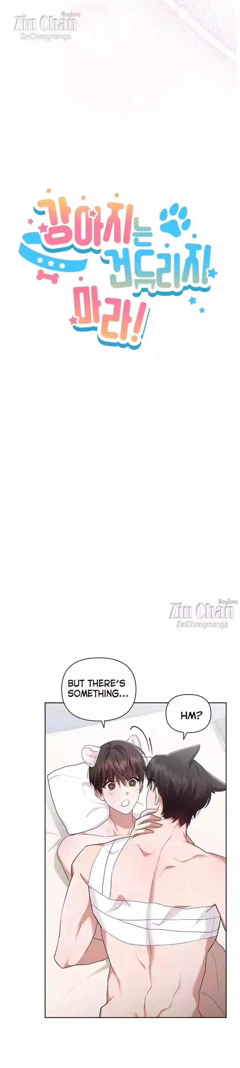 ce770326dac0688b6509c8967e64ed80.jpg