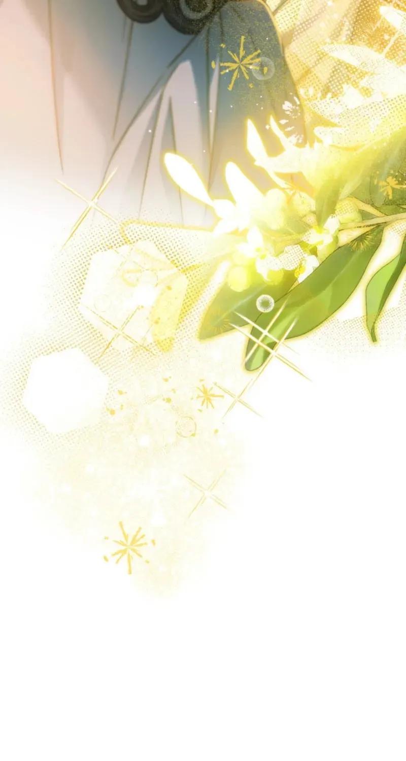 eb7602be7fcfe9384127e9114116535a.jpg