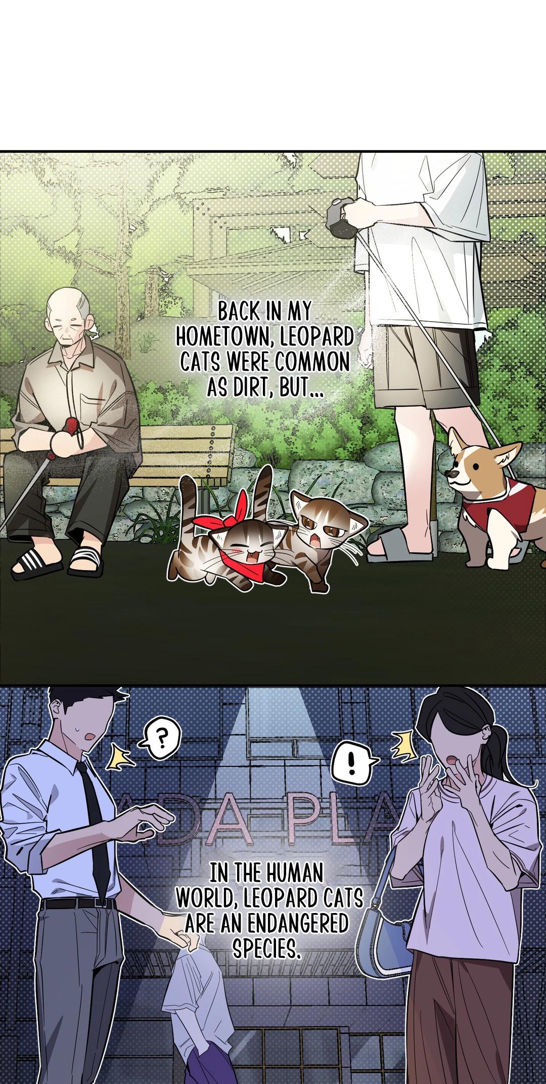 1b19af8ca8d9b8f998ac6d1f3e4e1d22.jpg