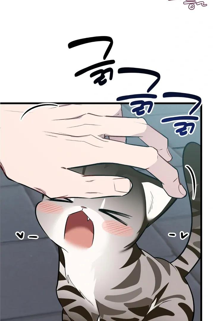 47a5e740b6eba8616c30e1d23509501f.jpg