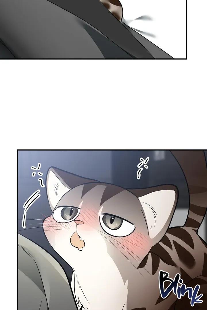 4f114fb6e2122d68e345b594dd3f2b0a.jpg