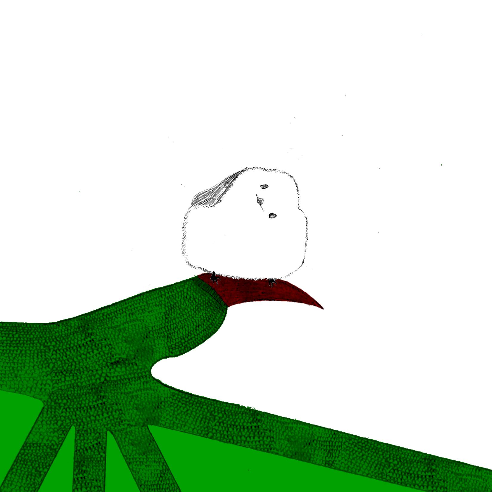 a334a5d798bb795ec0a1d71a07f46c3c.jpg