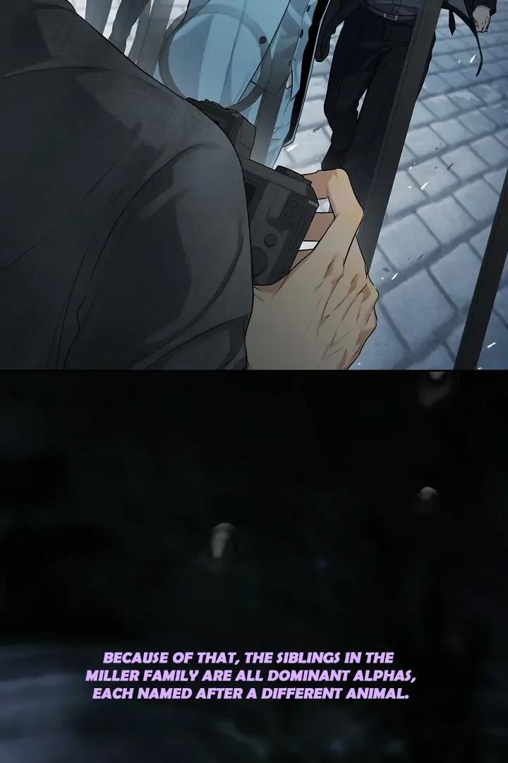 e9af2ab02cccef7ba40e53e7ee81dc6f.jpg