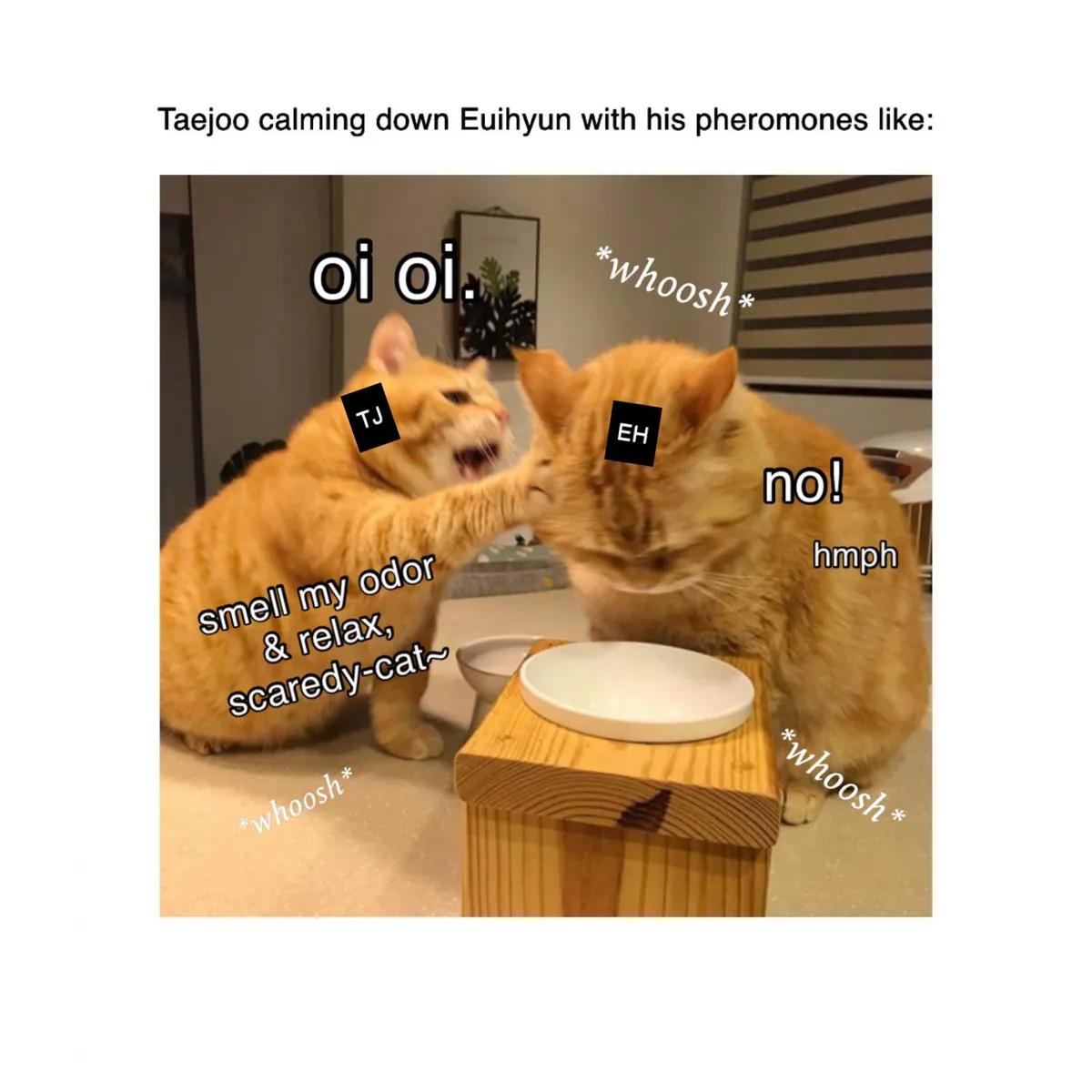 008ee0587be892925fa9068cf7daec4a.jpg