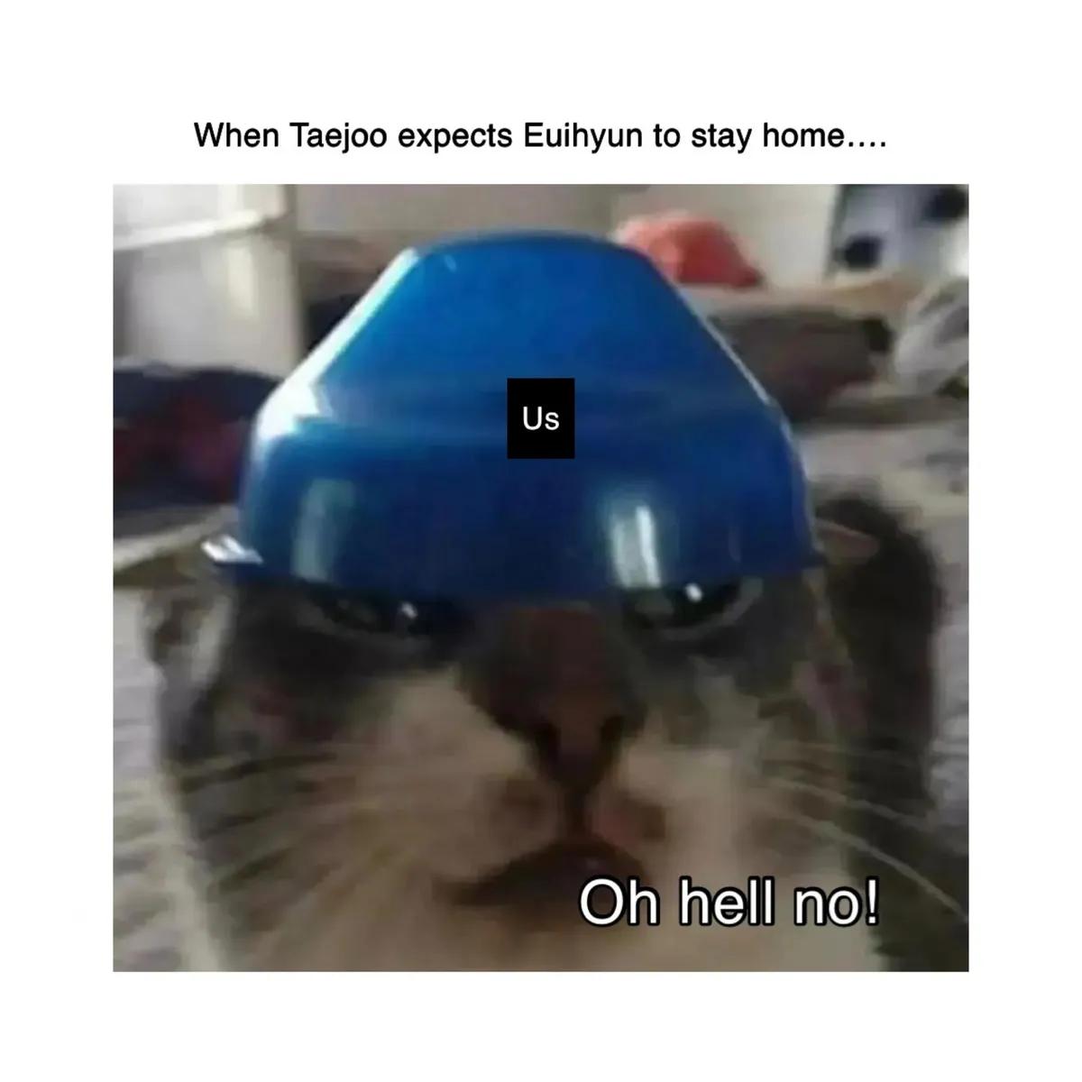 16af82cc2506235d44ce6e530ef1b69f.jpg