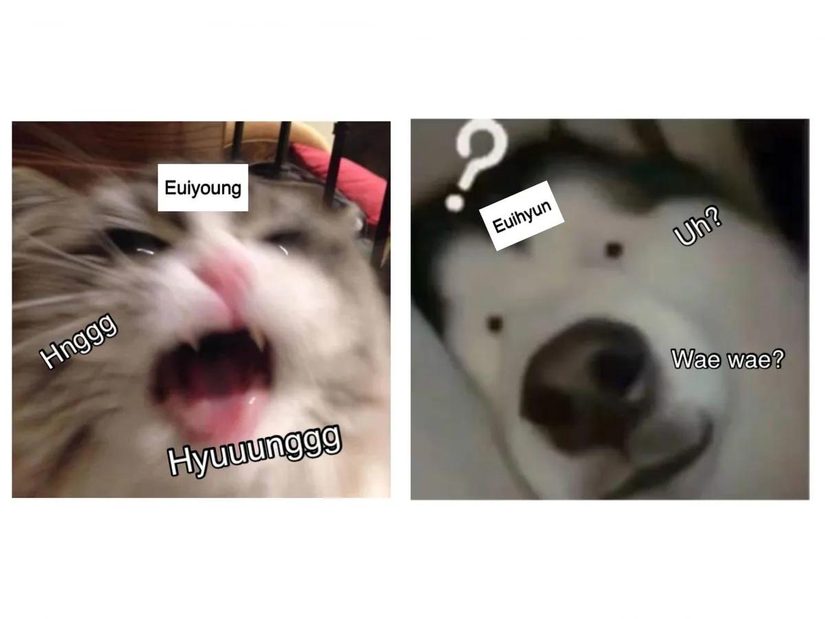 38997126edd55b3ba210ee2521215386.jpg