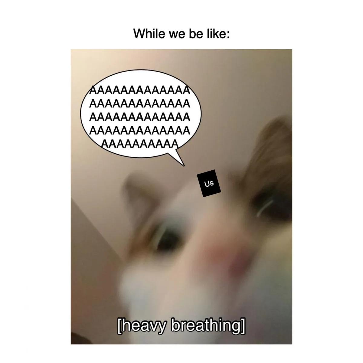a58aaa3d3f1859f9e1f8e254be1838a3.jpg