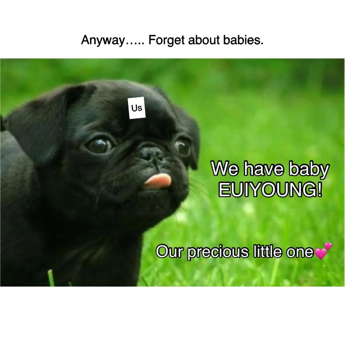 c087b33d7e3ab49fbea94853f951b36e.jpg