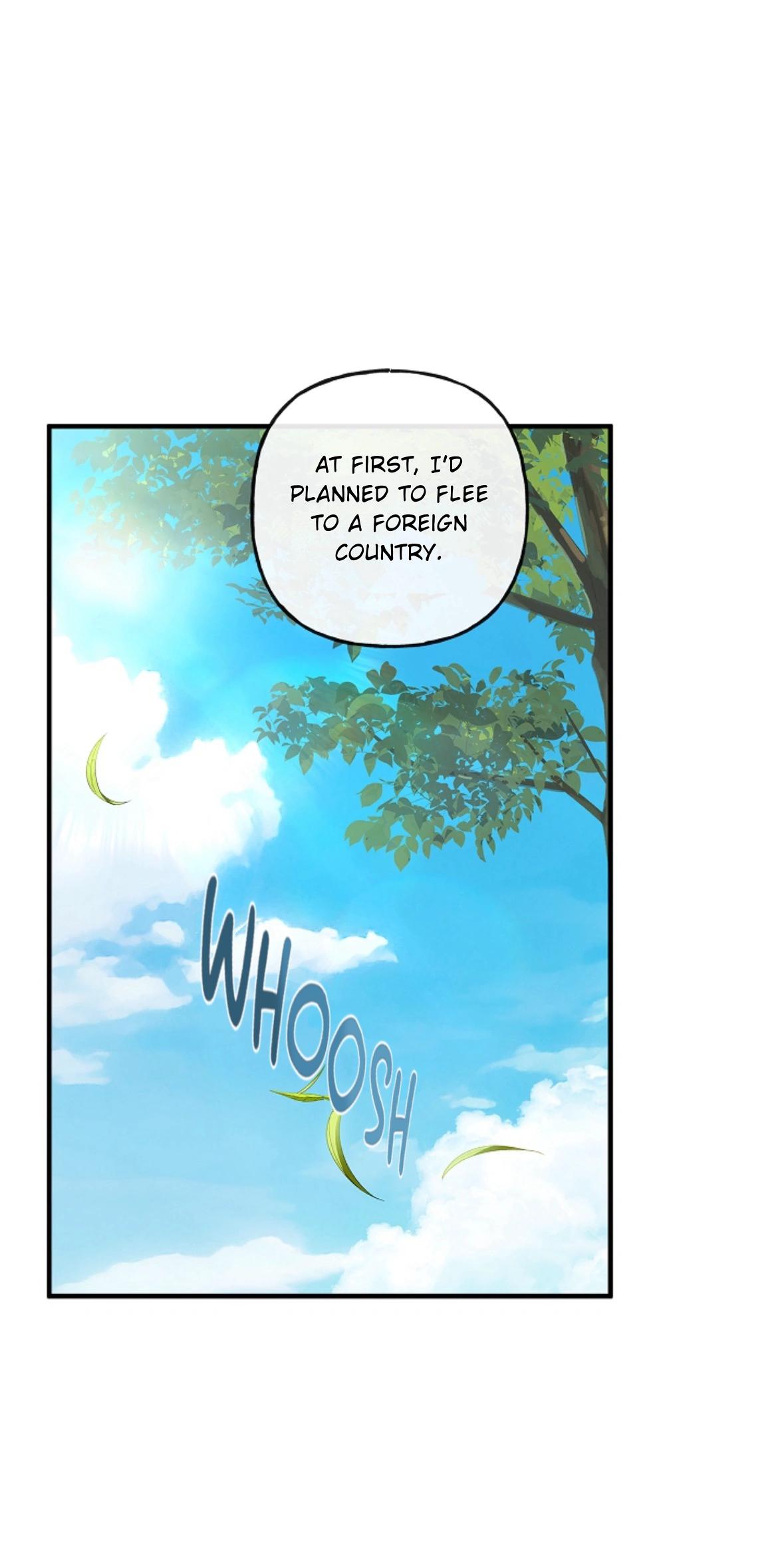 a97aa999677f7d3c2b4d5ad4da84d303.jpg
