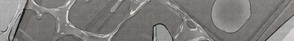 f79efb039ef95fc7a630b5b3b65a3236.jpg